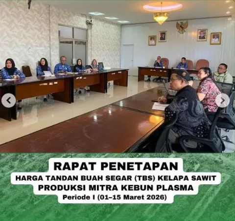 Disbun Lampung Bikin Petani Semangat, Penetapan Harga TBS Sawit Naik Menjadi Rp3.194,95/Kg