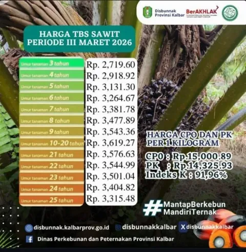Usai Lebaran, Petani Kalbar Sumringah Harga TBS Sawit Ditetapkan Rp3.619,27/Kg