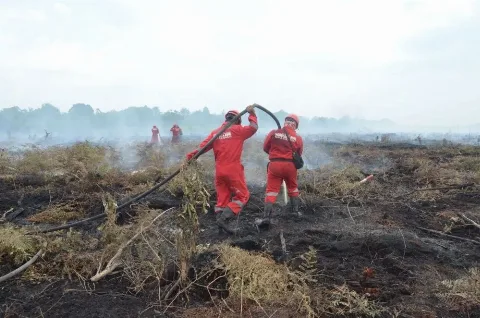 Strategi Manggala Agni Menaklukkan Karhutla di Tanjung Kapal Rupat