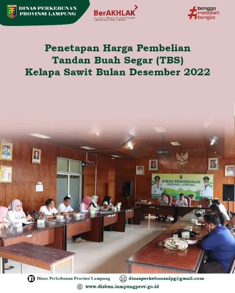 Harga TBS Lampung Capai Rp 2.362/Kg Periode Desember 2022