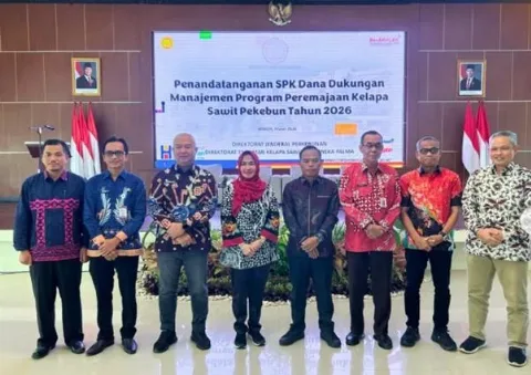Lampung Targetkan Peremajaan Sawit Rakyat 800 Ha pada 2026