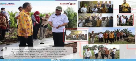 Bupati Kubu Raya mendampingi Wakil menteri Keuangan dan BPDPKS Memantau PSR di Kubu Raya