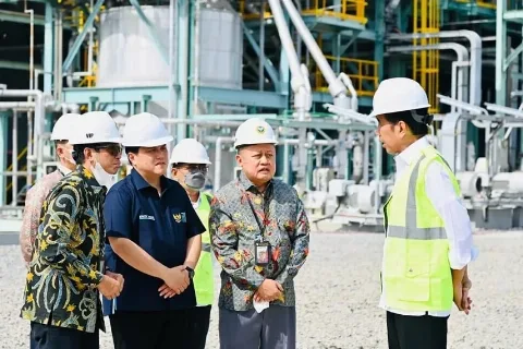Presiden Meninjau Pengembangan Klaster Industri Hijau