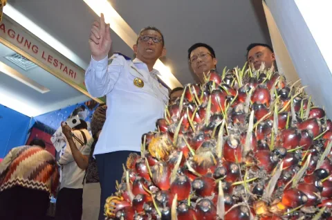 Gubernur Kalbar: Perusahaan Sawit Dihimbau Masuk GAPKI
