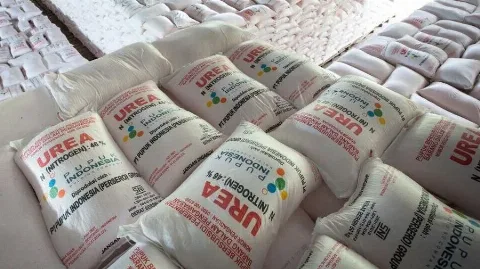 Peluang Besar Indonesia Dari Sektor Pupuk