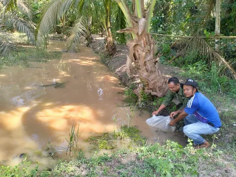 PT SLS Dorong Ekonomi Desa di Pelalawan Riau