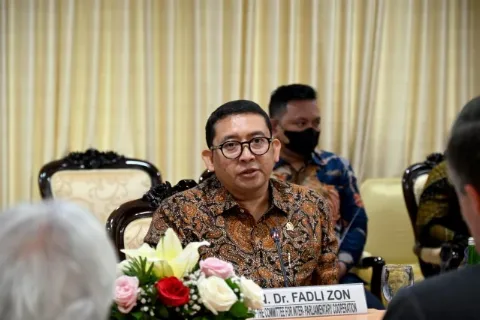 BKSAP dan Parlemen Uni Eropa Bahas Perdagangan Kelapa Sawit
