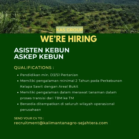 Kalimantan Agro Sejahtera Butuh Asisten dan Askep Kebun, Berikut Persyaratannya