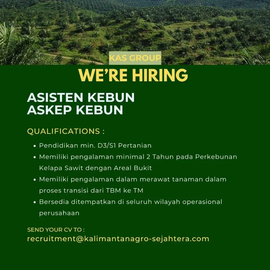 Kalimantan Agro Sejahtera Butuh Asisten dan Askep Kebun, Berikut Persyaratannya