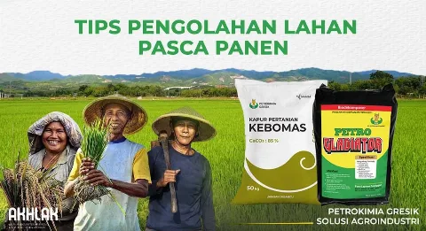 Pengolahan Lahan Pasca Panen