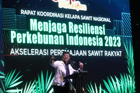 Kebun Sawit Rakyat Terus Menghadapi Tantangan Besar Terkait Produktivitas