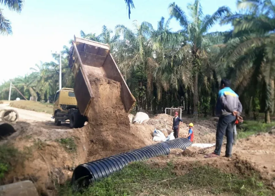 <strong>Inovasi Teknologi Syngenta untuk Industri Kelapa Sawit Indonesia</strong>