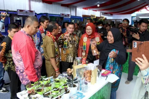 Kolaborasi Pemberdayaan UKMK Berkelanjutan