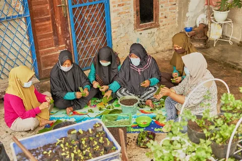 <strong>Tumbuh dan Berdaya bersama Kelompok Tani Wanita Sakai Mandiri</strong>