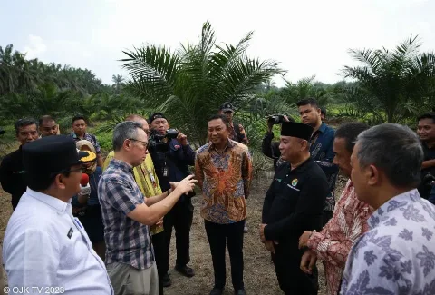 OJK Dorong Pendanaan Perkebuanan Sawit