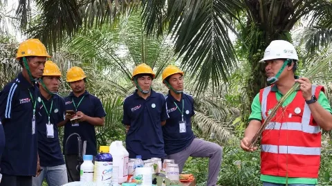 PT Triputra Agro Persada Tbk Tingkatkan Produktivitas Kebun Petani