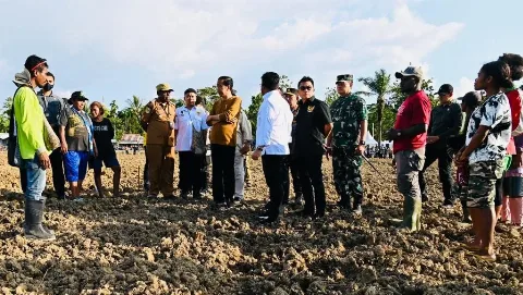 Presiden Jokowi Tinjau Food Estate di Keerom Papua