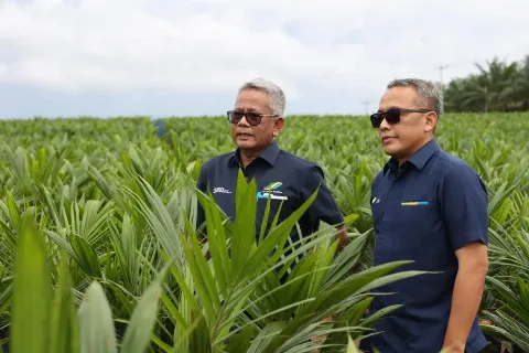 PTPN Akan Segera Membentuk Dua Sub Holding, Sub Holding PalmCo dan Sub Holding SupportingCo