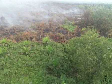 Tiga Klaster Karhutla di Riau Ditangani Intensif