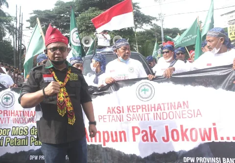 Harga TBS Anjlok Rp 1.200/Kg,Apkasindo Khawatir Petani Sawit "Bangkrut Massal"