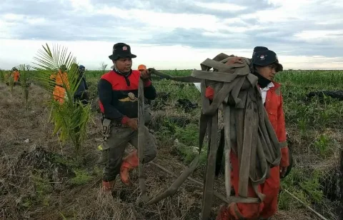 BPBD Kayong Utara Imbau Masyarakat Waspada Kalhutla