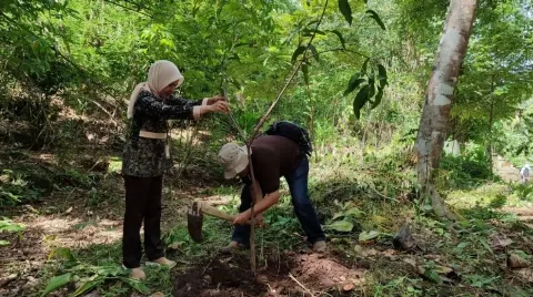 Kemenhut Diminta Berani Tegakan Hukum untuk Pelaku Deforestasi Ilegal