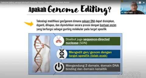 Genome Editing Memiliki Potensi Besar Dalam Ketahanan Pangan