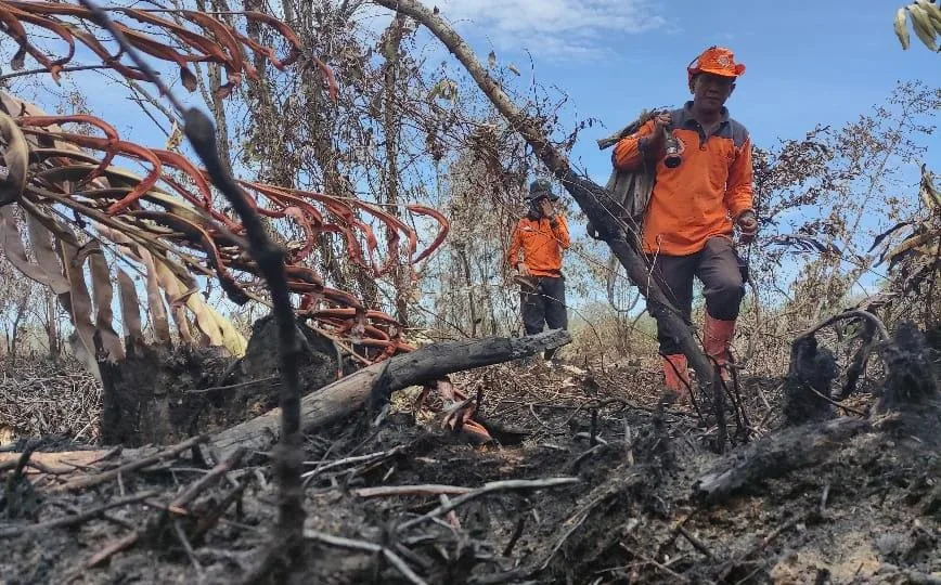 Karhutla di Desa Teluk Pambang Berhasil Dipadamkan