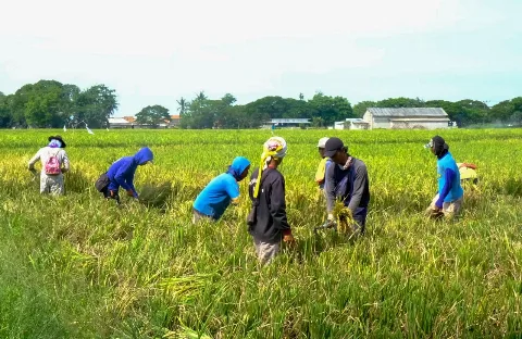 WPI Usung Kemitraan Petani Sawit untuk Kesejahteraan Petani