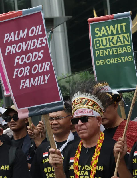 Petani Sawit Tolak UU Anti Deforestasi Eropa, Kok Organisasi Non Sawit Yang Sibuk ?