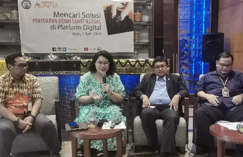 Benih Sawit Illegitim Beredar di E-Commerce, Kerugian Ditaksir Rp 700,5 Miliar