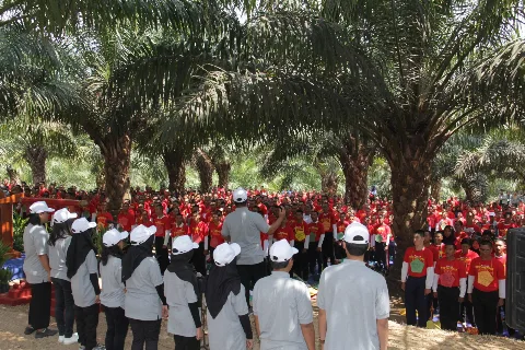 Kebutuhan Dan Penyediaan SDM Sawit Masa Depan