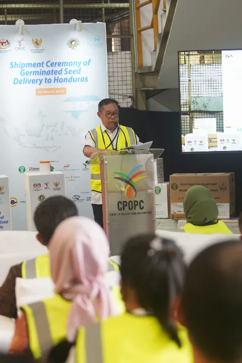 CPOPC’S Germinated Seed Contribution To Honduran Oil Palm Farmers