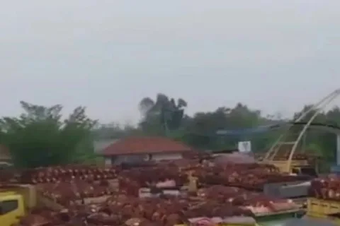 Indonesia Perkuat Aliansi Produsen Sawit Global demi Amankan Devisa