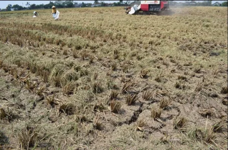 AUTP Solusi Hadapi El Nino