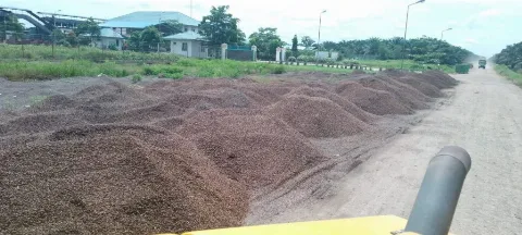 Pemprov Kalsel Kaji Produksi Cangkang Sawit Capai 344.637 ton/tahun