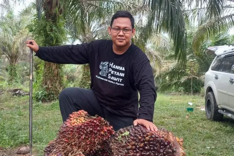 Disbun Riau Tetapkan Harga TBS Kelapa Sawit Mitra Swadaya Turun 0,42%