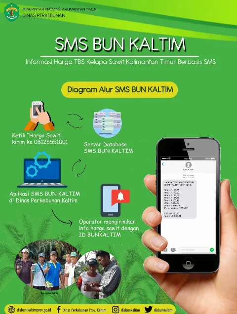 Disbun Kaltim Luncurkan Sistem Informasi Harga TBS Lewat SMS