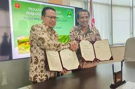 Mengestimasi Produktivitas Kelapa Sawit Dengan Menggunakan Citra Satelit Sentinel-2