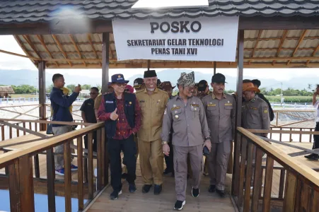 El Nino Tantangan Besar Pembangunan Sektor Pertanian dan Ketahanan Pangan