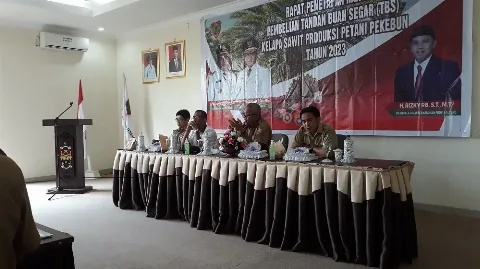 Harga TBS Kalteng Periode Mei Turun Menjadi Rp2.213,70/Kg