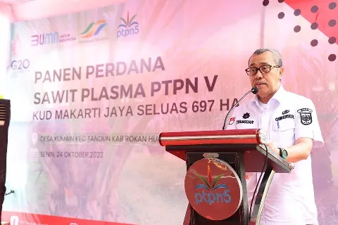PTPN 5 Bermitra Dengan Ribuan Petani Plasma Dengan Total Lahan 56.000 Ha