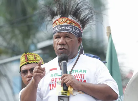 Sepakat  Ide LBP, Petani Sawit Usulkan Audit NGO di Indonesia Tanpa Kecuali
