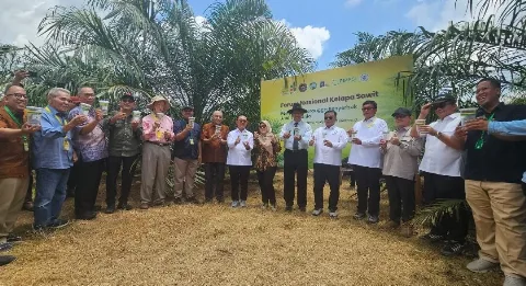Serangga Penyerbuk Tanzania Resmi Dilepaskan ke Perkebunan Sawit Indonesia, Peningkatan Produksi Menjadi Prioritas