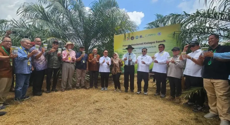 Serangga Penyerbuk Tanzania Resmi Dilepaskan ke Perkebunan Sawit Indonesia, Peningkatan Produksi Menjadi Prioritas