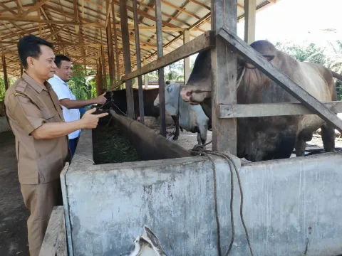Meningkatnya Perekonomian di Sentra Sawit