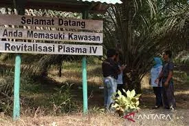 PTPN XIII Telah Melampaui Mandatory 20 Persen Kebun Plasma