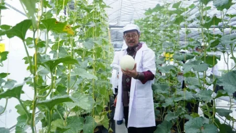 Teknologi Smart Green House Memberikan Keuntungan Besar Bagi Petani