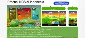 Upaya Mengurangi Emisi Gas Rumah Kaca dan Meningkatkan Penyerapan Karbon Pada Berbagai Ekosistem