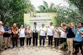 PTPN IV PalmCo Menguji Serangga Penyerbuk Unggul Asal Tanzania